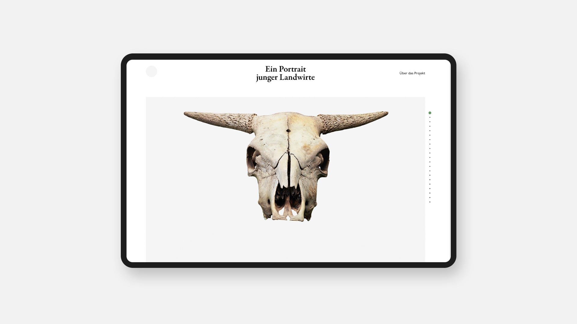 Webentwicklung/Webdesign Landingpage